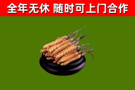 德宏州烟酒回收冬虫夏草.jpg